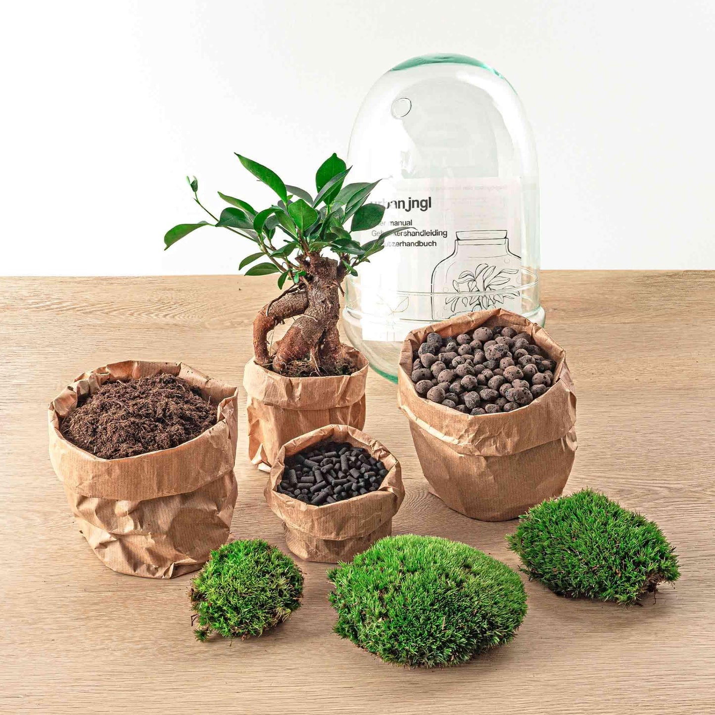 DIY-terrarium - Eierbonsai - ↕ 25 cm