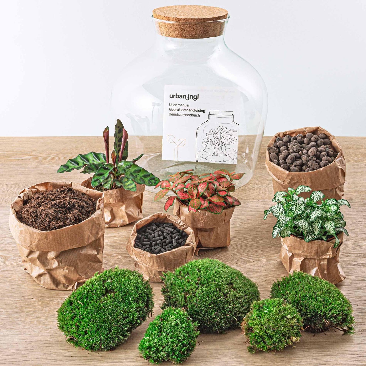DIY-terrarium - Fat Joe Rood - ↕ 30 cm - Normaal