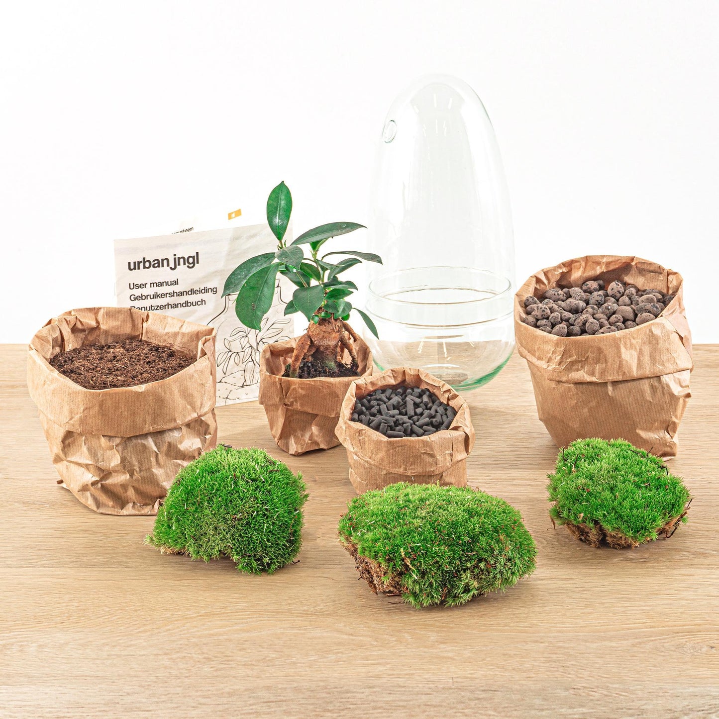 DIY-terrarium - Eierbonsai - ↕ 25 cm