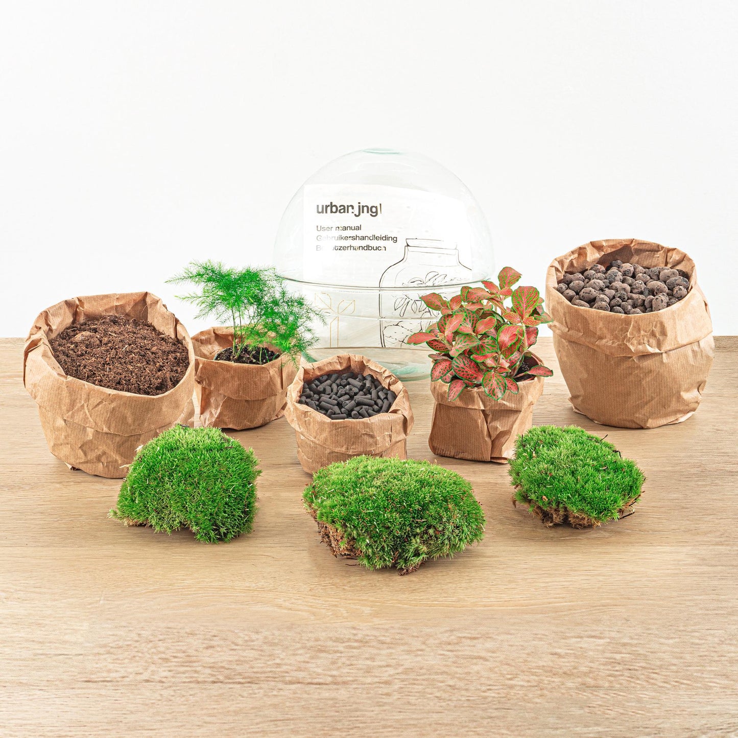 DIY-terrarium - Dome Rood - ↕ 20 cm - Normaal