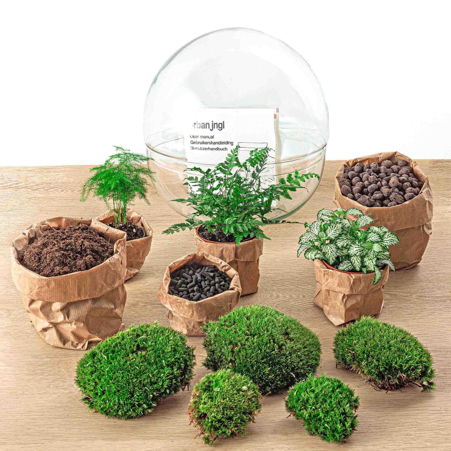 DIY-terrarium - Dome XL - ↕ 30 cm - Normaal